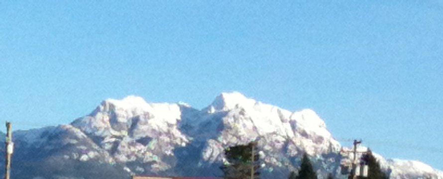 20120111-002518.jpg
