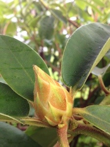 20130224-120406.jpg