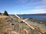 20130306-153554.jpg