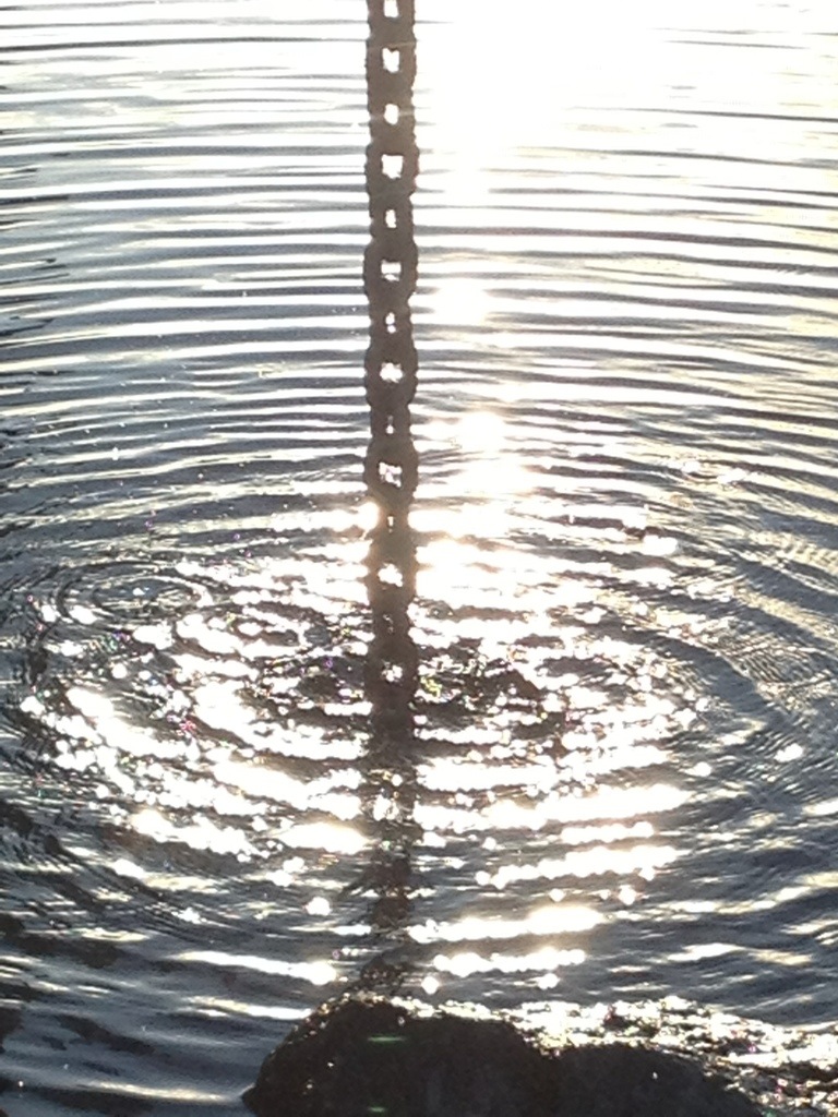 20130309-074533.jpg