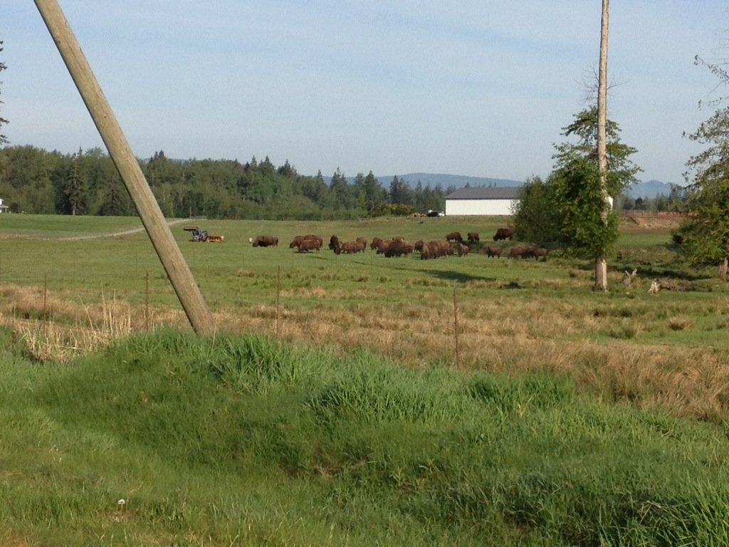20130513-213353.jpg