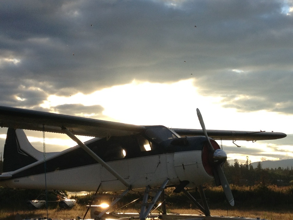 20130707-222317.jpg