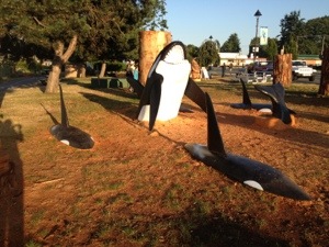 20130719-132901.jpg
