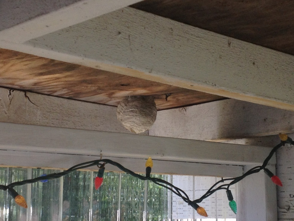 20130722-180054.jpg