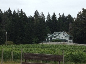 20130802-130031.jpg