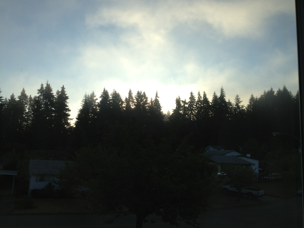 20130806-072728.jpg