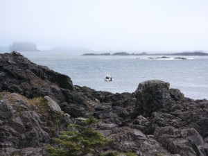 DSCF0629