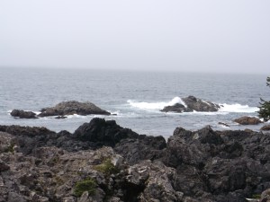 DSCF0635