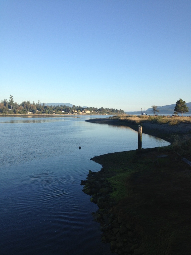 20130912-080145.jpg