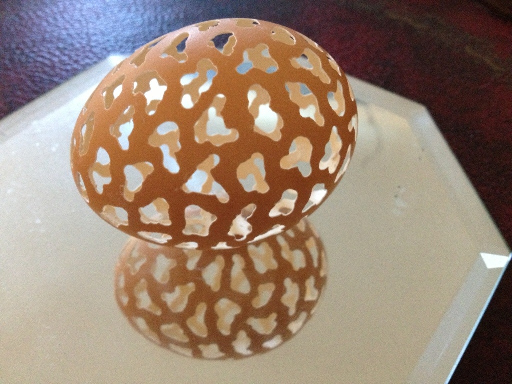 20130912-160441.jpg