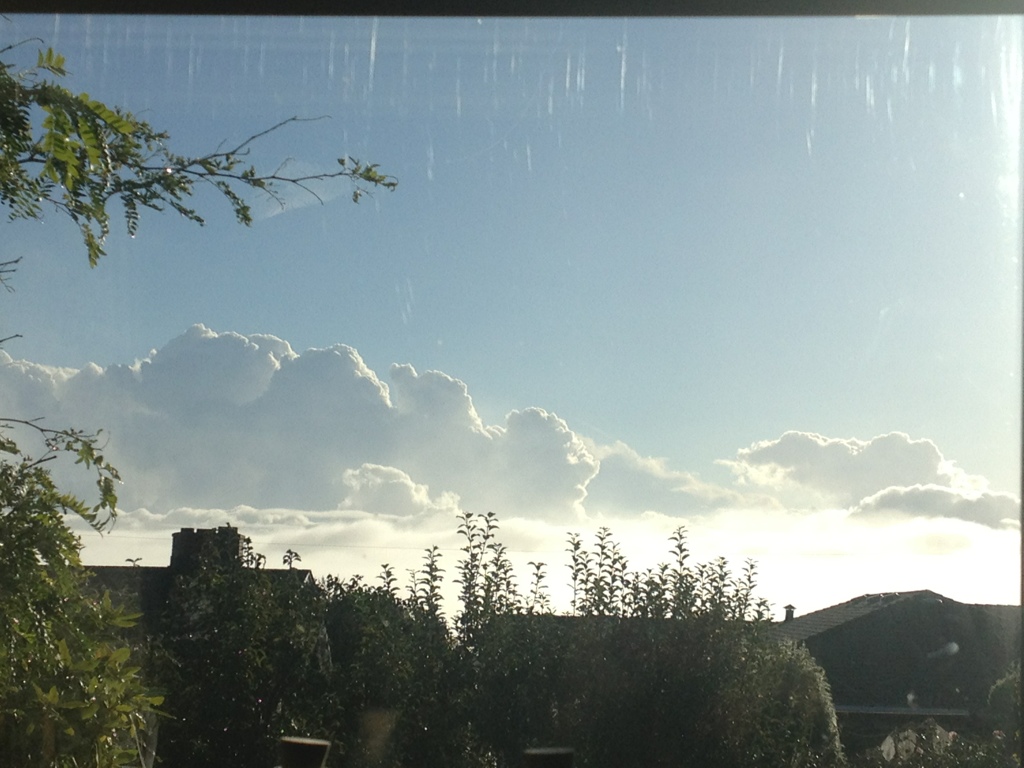 20130921-103422.jpg