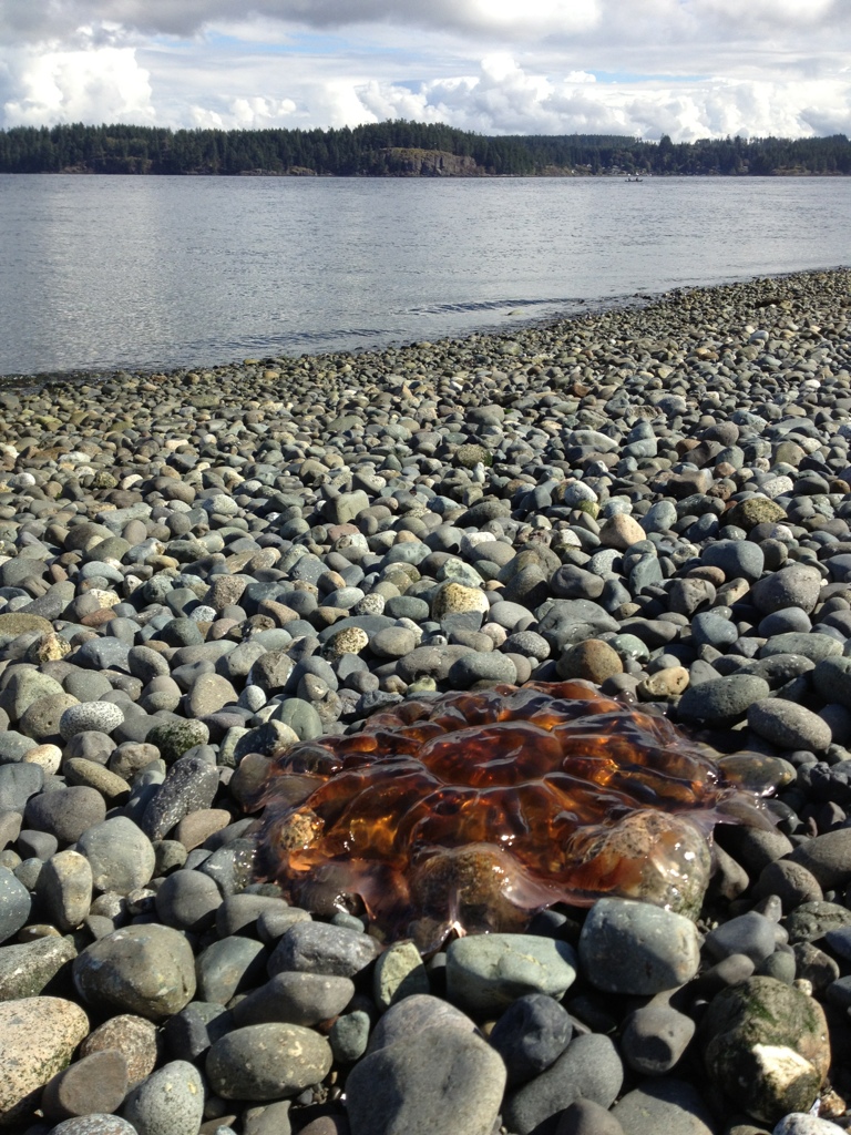 20130921-123828.jpg