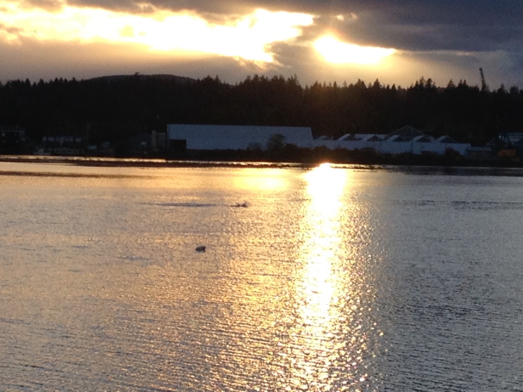 20130924-000809.jpg