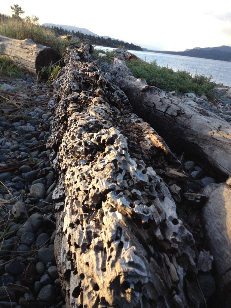 20130924-000852.jpg