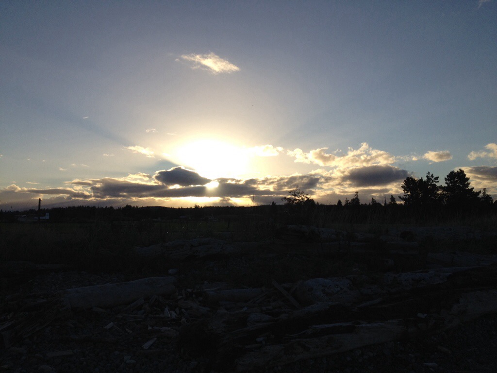 20130924-000924.jpg