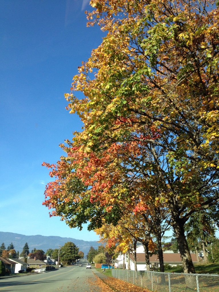 20131015-145639.jpg