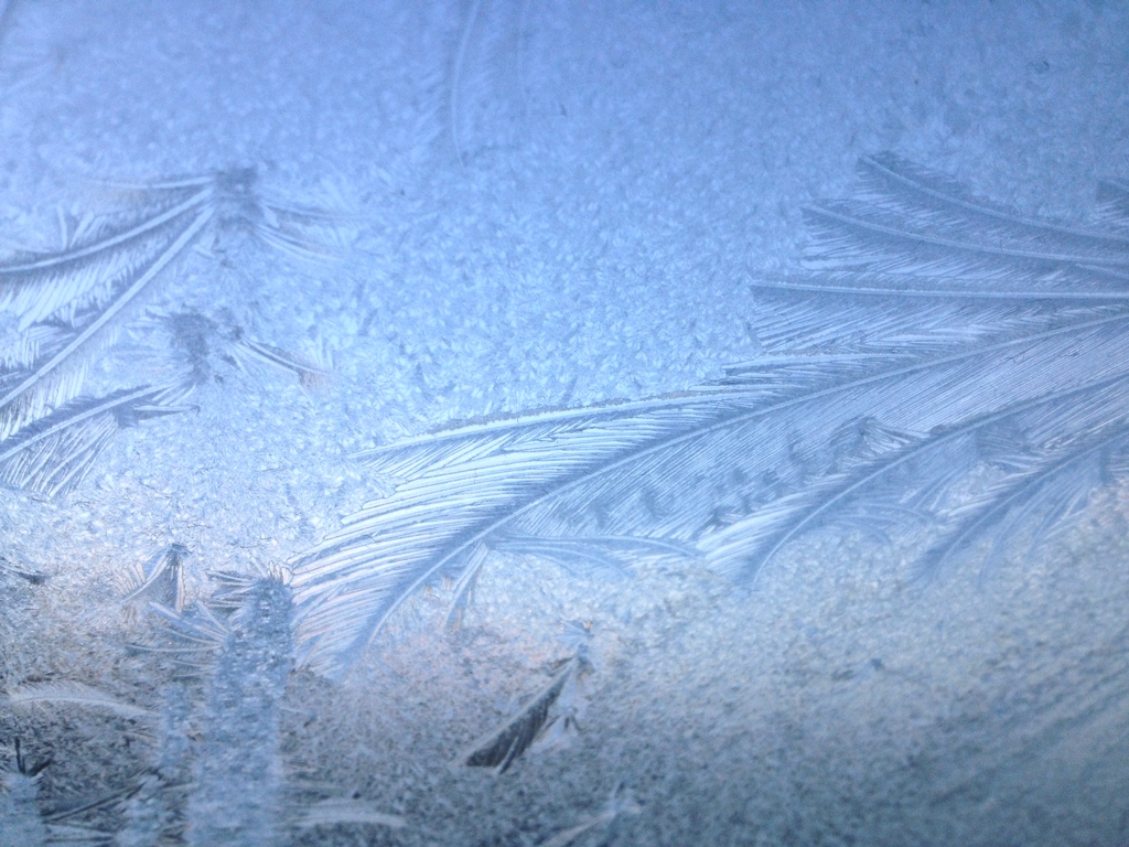 20131202-131340.jpg