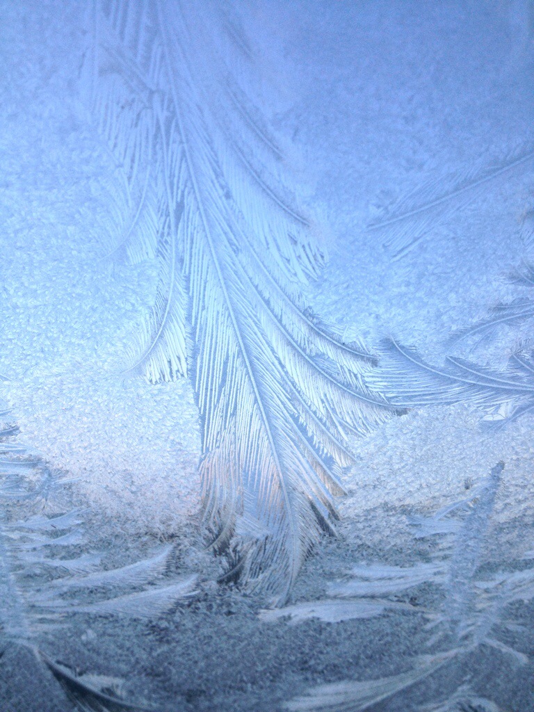 20131202-131354.jpg