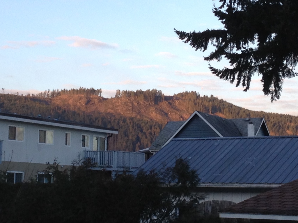 20140205-200039.jpg