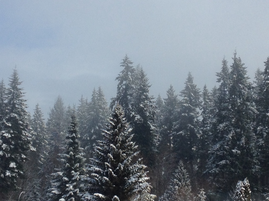 20140210-123537.jpg