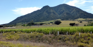 Bike Trip Tequila 121