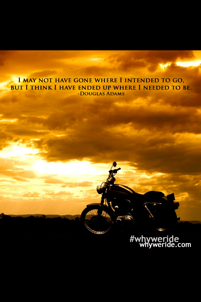 IMG_4931.PNG
